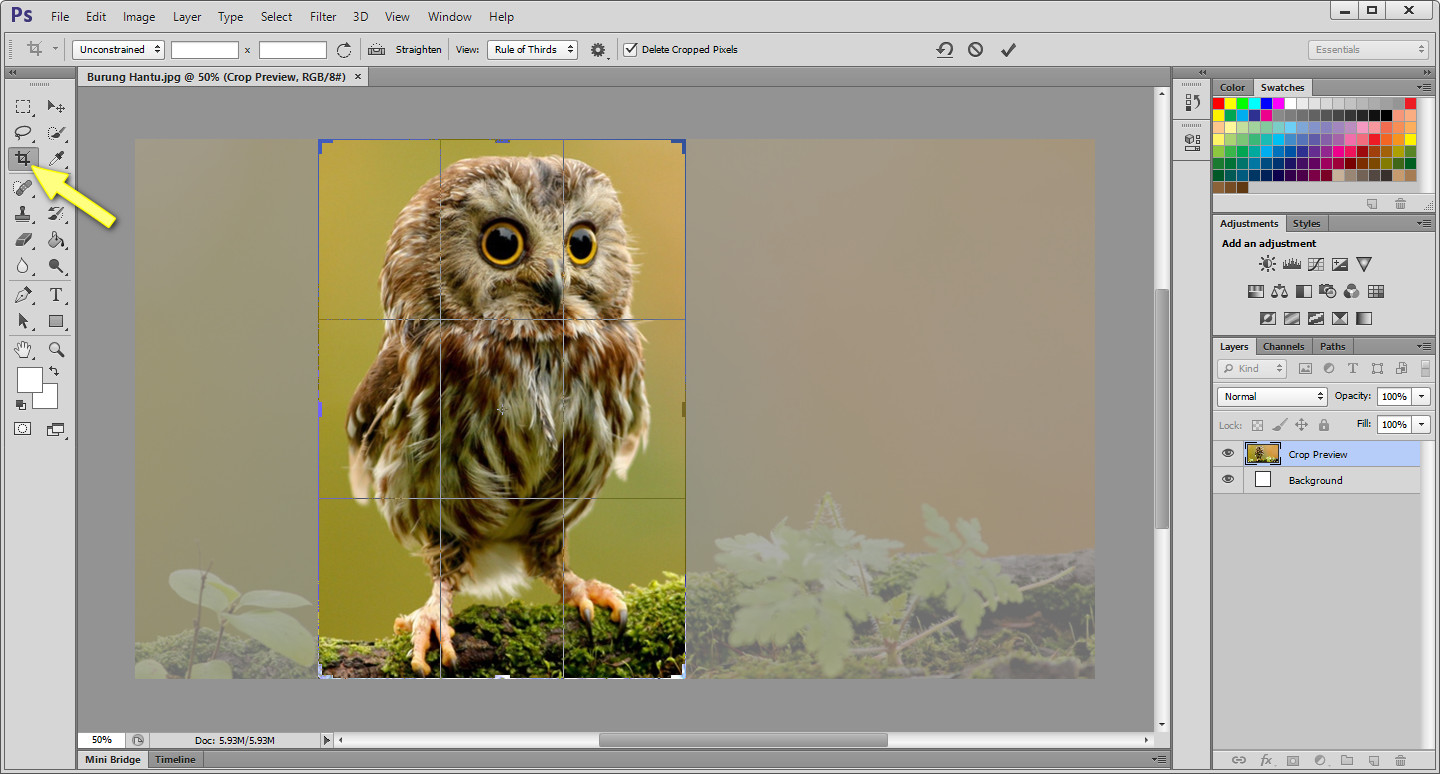 Cara Crop Foto Dengan Adobe Photoshop