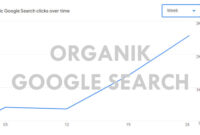 Organik Google Search